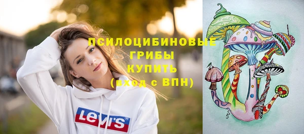a pvp Зеленокумск