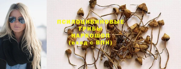 a pvp Зеленокумск